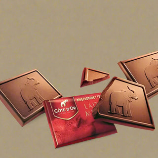 Cote D'or Mignonettes Milk 240g